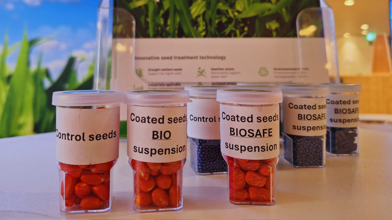 What does Seed Certification mean for Agricultural Productivity?