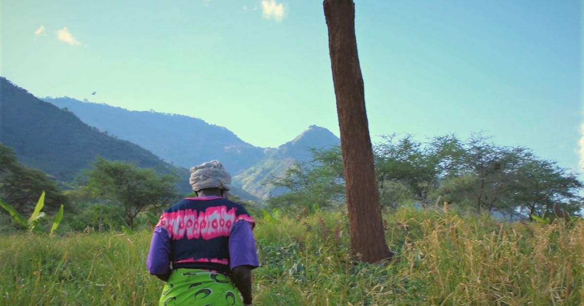 Locally-Led Regenerative Agriculture Cultivates Resilience in Rural Kenya