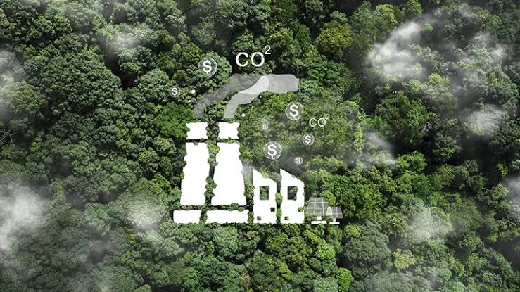 UN body sets new standards for carbon crediting under Paris deal