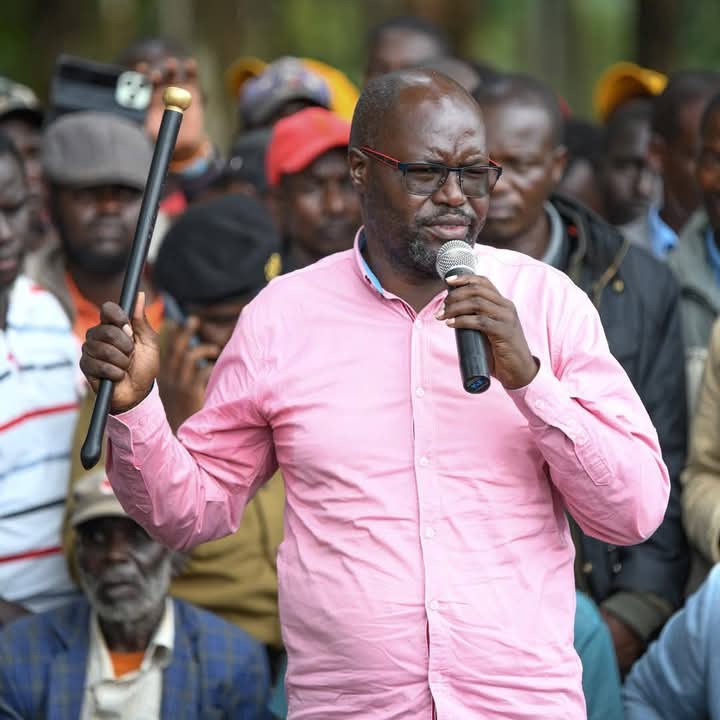 MP Johanna Ngeno Condemns Police Killings in Angama, Maasai Mara