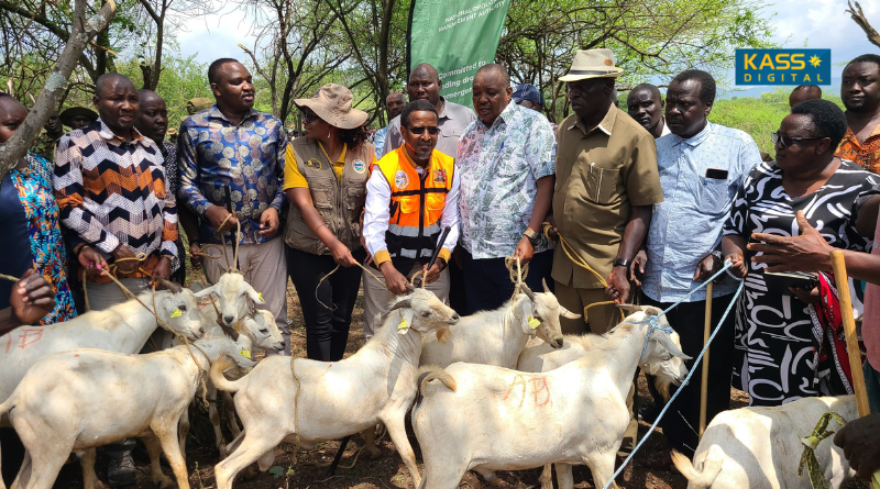 Galla Buck Initiative Launched to Transform Livestock Keeping in Insecure Areas