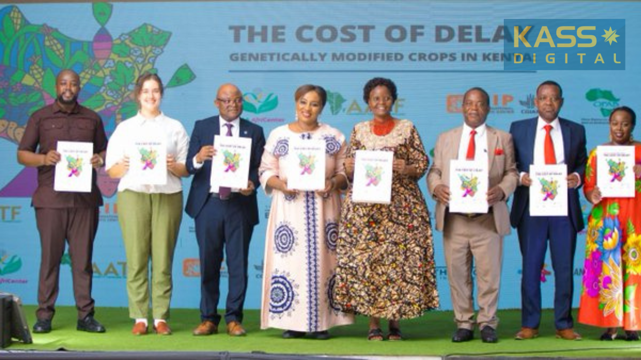 Kenya loses KSh 20.4bn over delays in adopting advanced crops — study