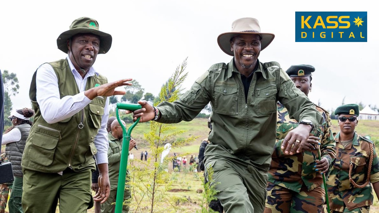 Government Launches Major Plan to Restore 33,000 Hectares in Mau Forest