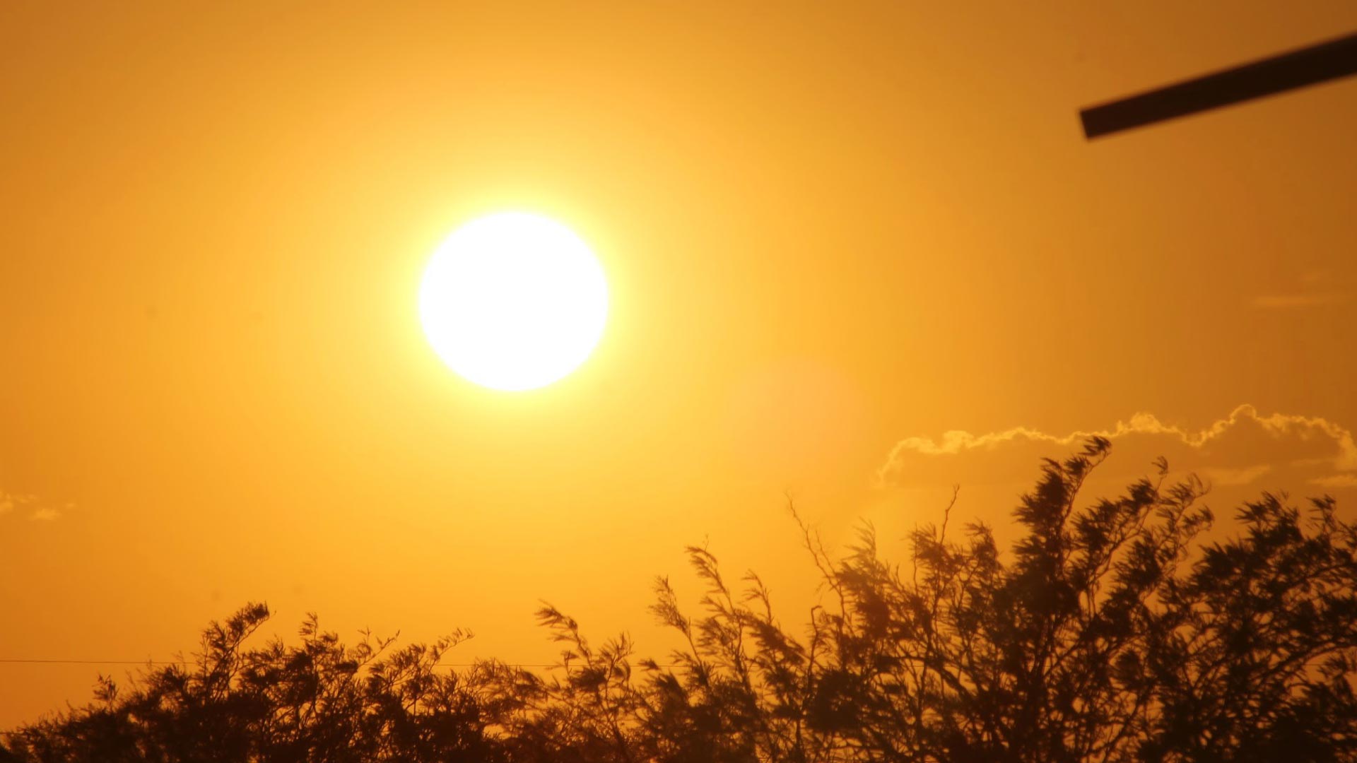 Hotter, drier January ahead as Kenya Met warns of heat, water and food stress