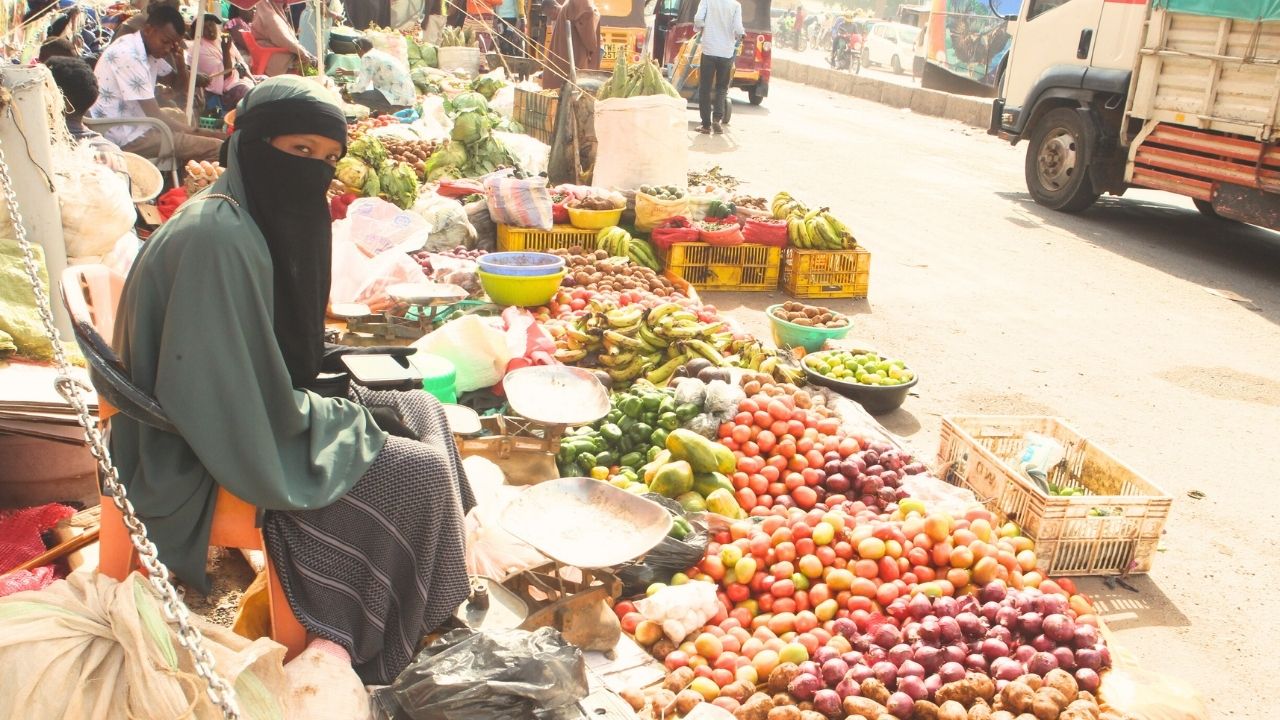 African Climate and Labor Groups Warn of Legal Risks to ‘Gender-Blind’ Green Investments