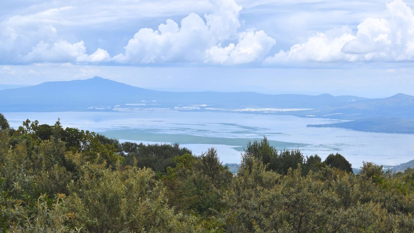 How a Forest Fence Became a Community’s Secret Bank.