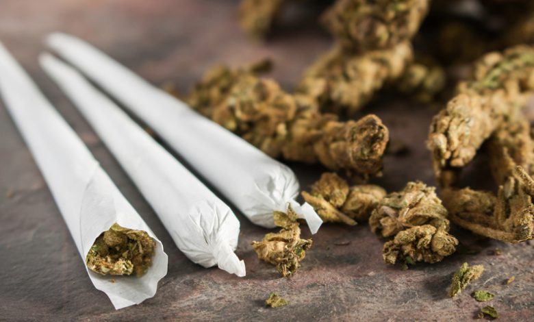 NACADA Seizes 2,400 Stones of Bangi in Kapsabet School-Zone Crackdown