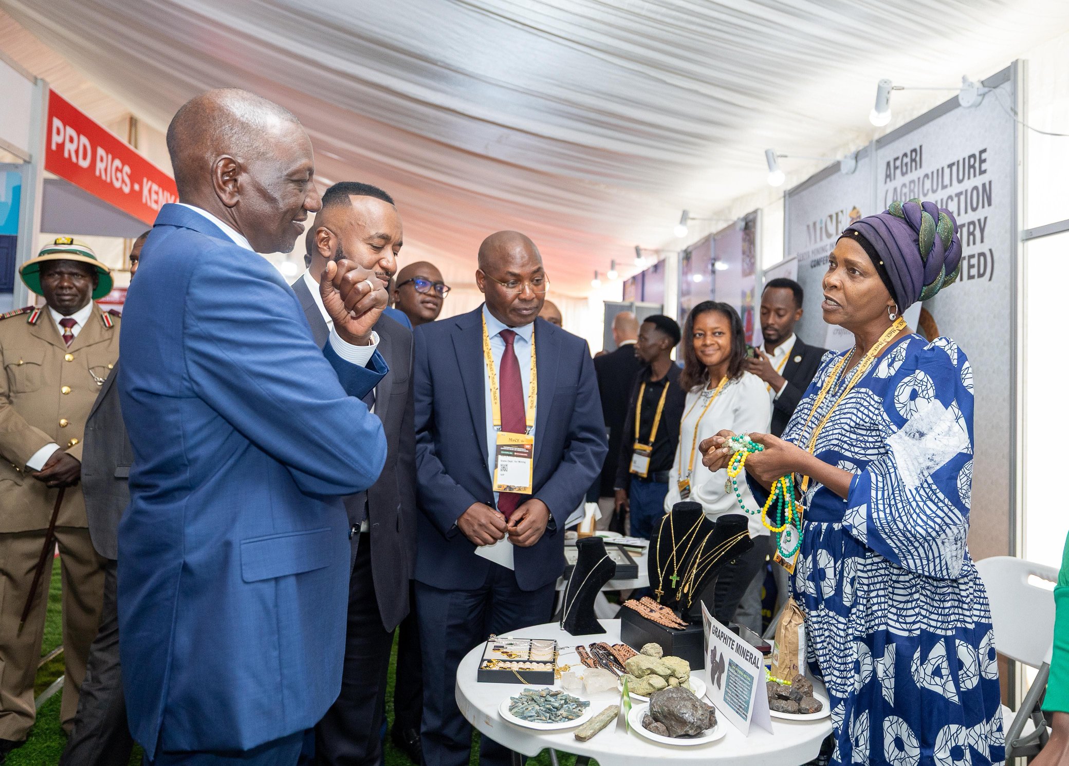 Government pushes local mineral processing as investors eye rare earth tender