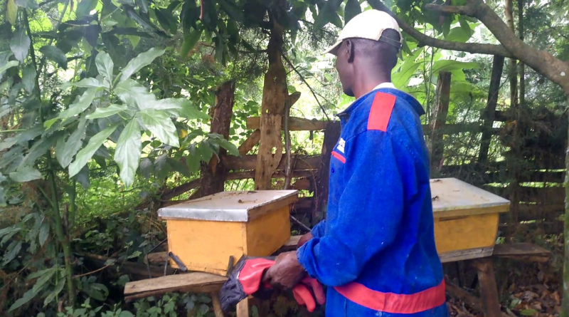 BEE KEEPING A LUCRATIVE VENTURE.