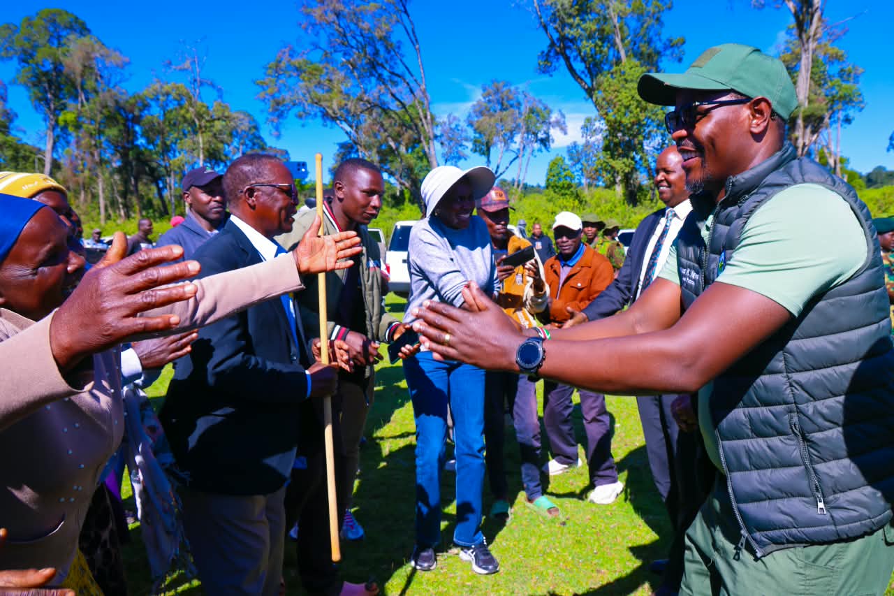 Mau Forest Restoration Gets Fresh Push as Communities Embrace Conservation and Livelihoods