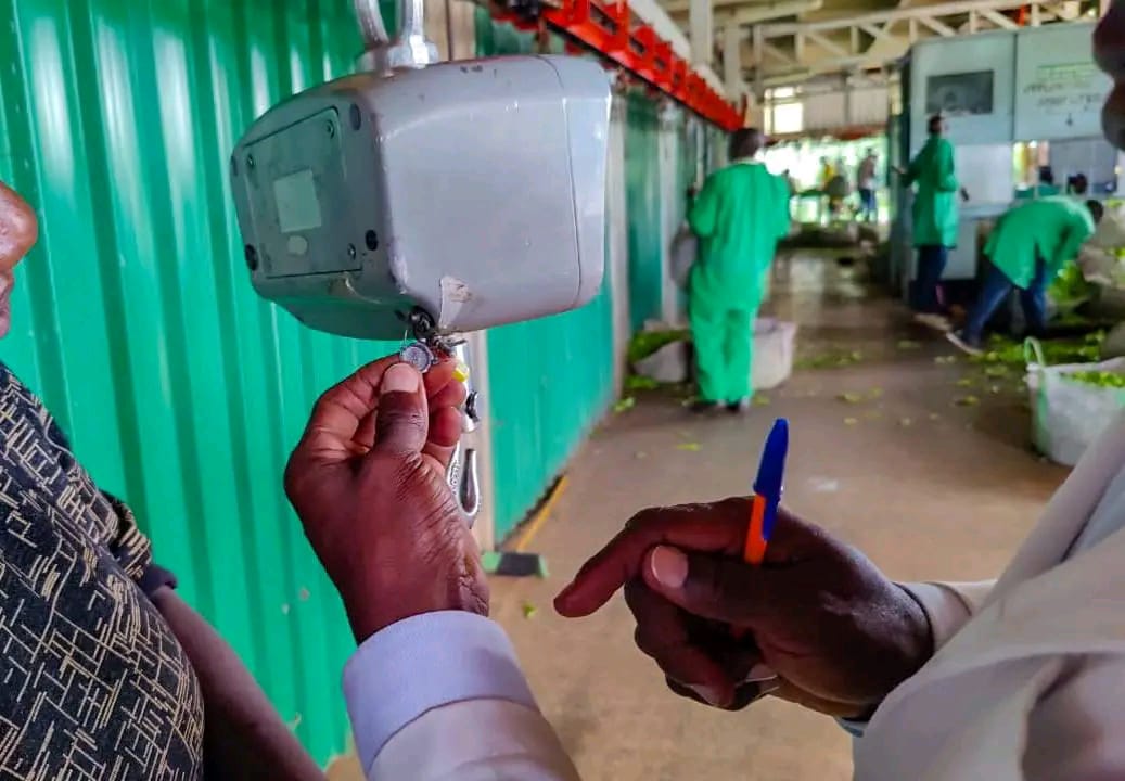 Five Tea Clerks Arrested in Bureti Over Alleged Scale Tampering