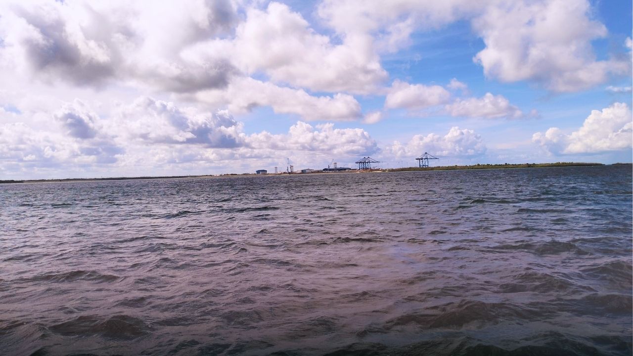 Port gantry cranes silhouetted against the shoreline