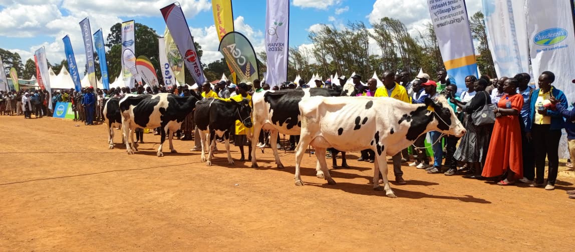 Tourism Ps Bitok: Agribusiness Trade Fair is Foundation for Agri-tourism Link